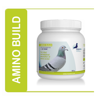 PIGEON Health Performance, AMINO BUILD 500 Gr. (Güvercin Genel Bakım Ürünüdür.)
